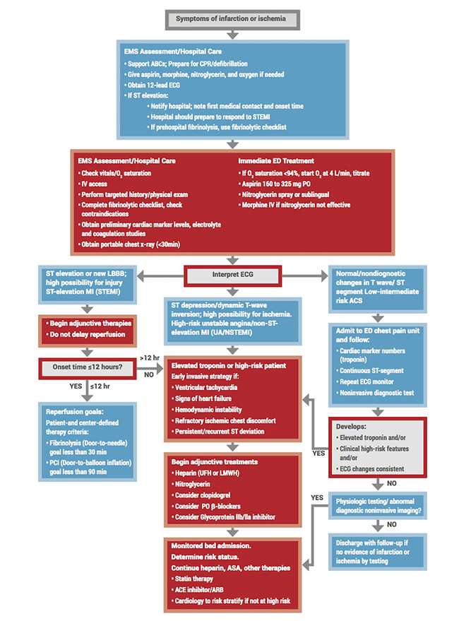 Adult Suspected Stroke Algorithm