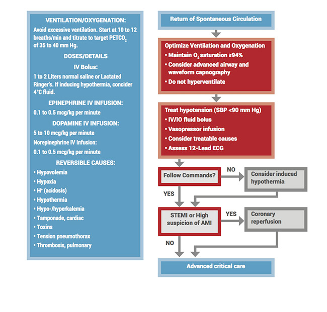 Adult Immediate Post-Cardiac Arrest Care