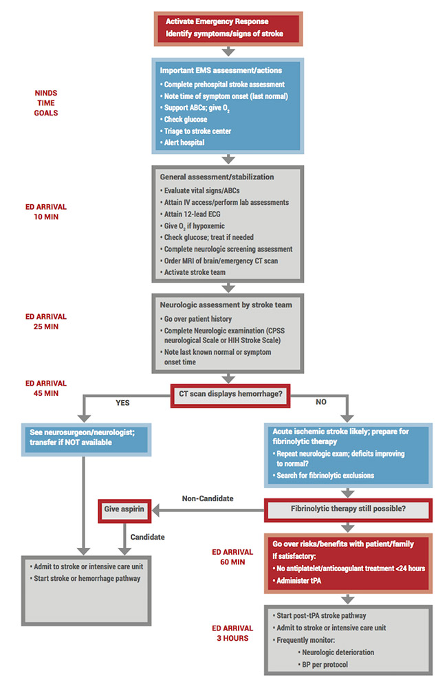 Acute Coronary Syndrome