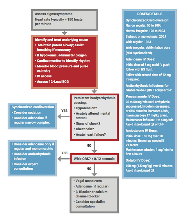 Adult Tachycardia With Pulse