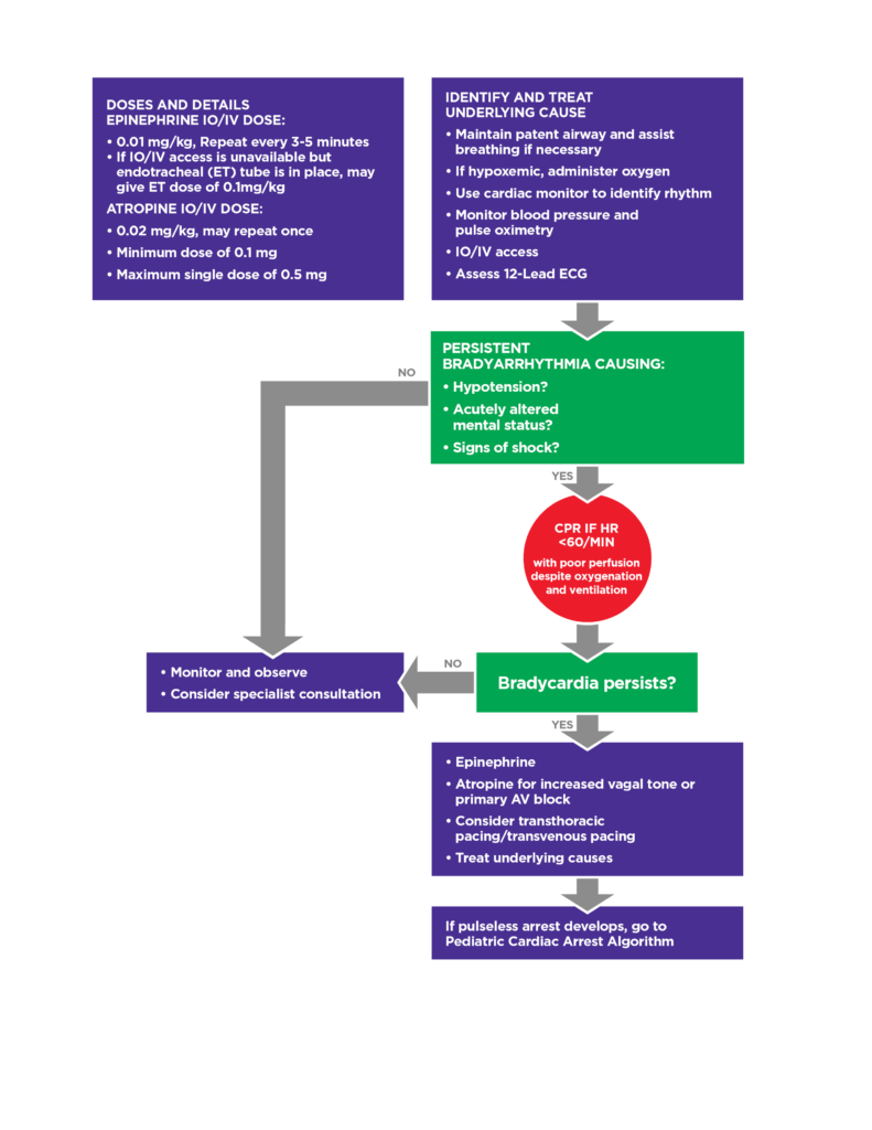 Pediatric Bradycardia Algorithm