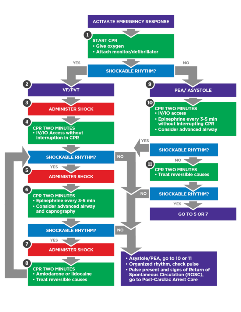 Pediatric Cardiac Arrest Algorithm Diagram