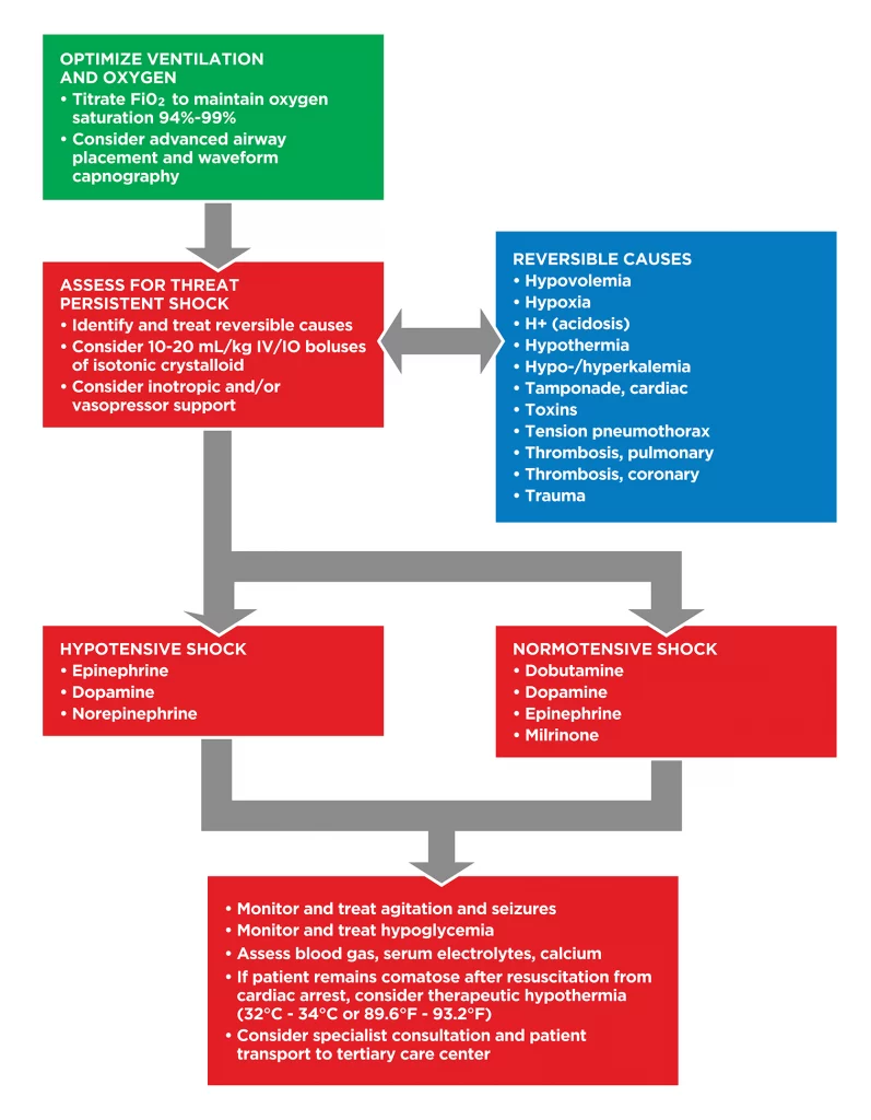 PALS Pediatric Post Resuscitation Care Algorithm