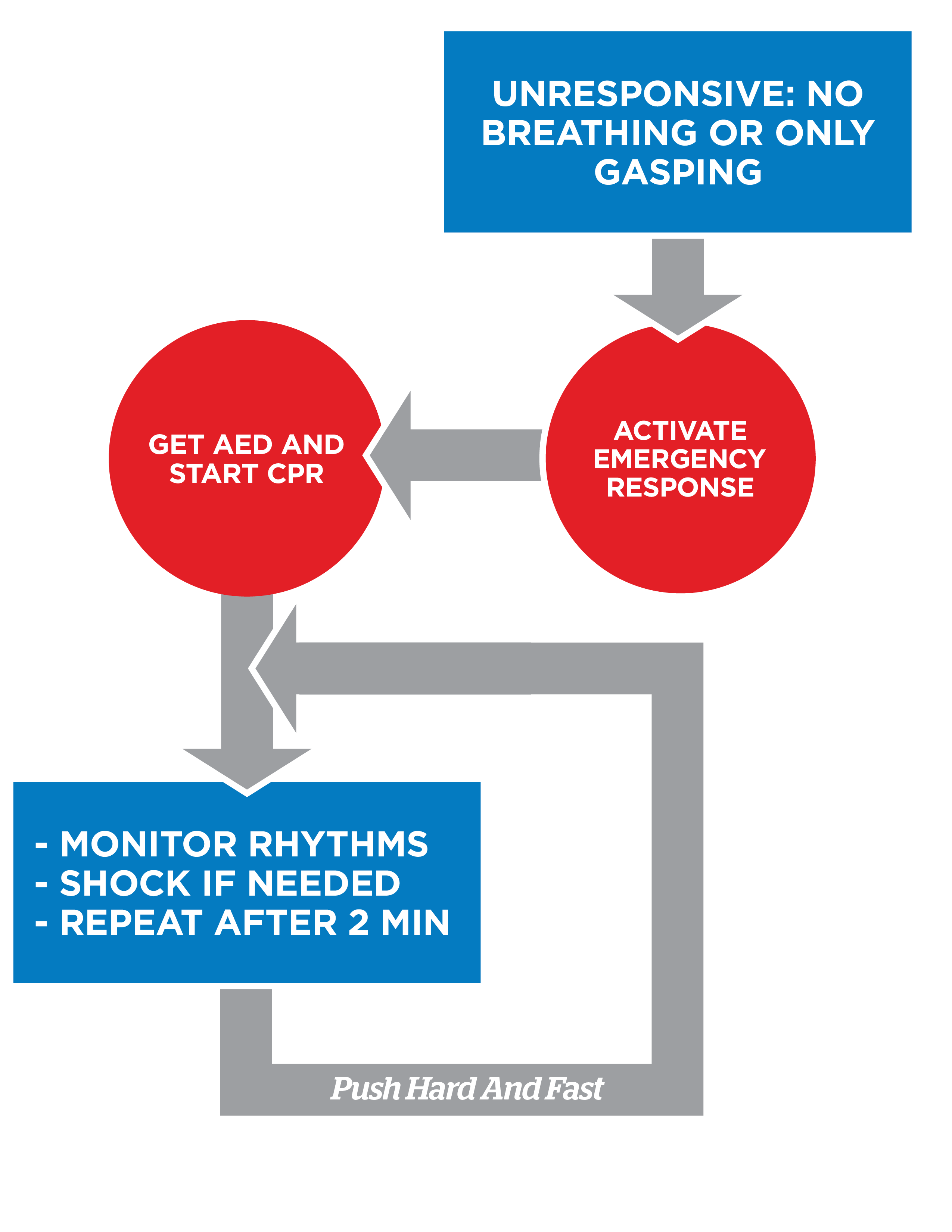 Simple Adult BLS Algorithm