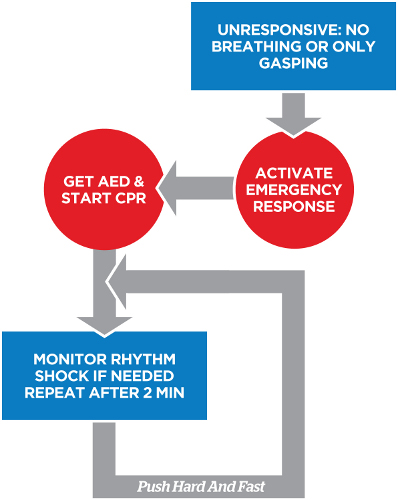 Simple Adult BLS Algorithm Diagram