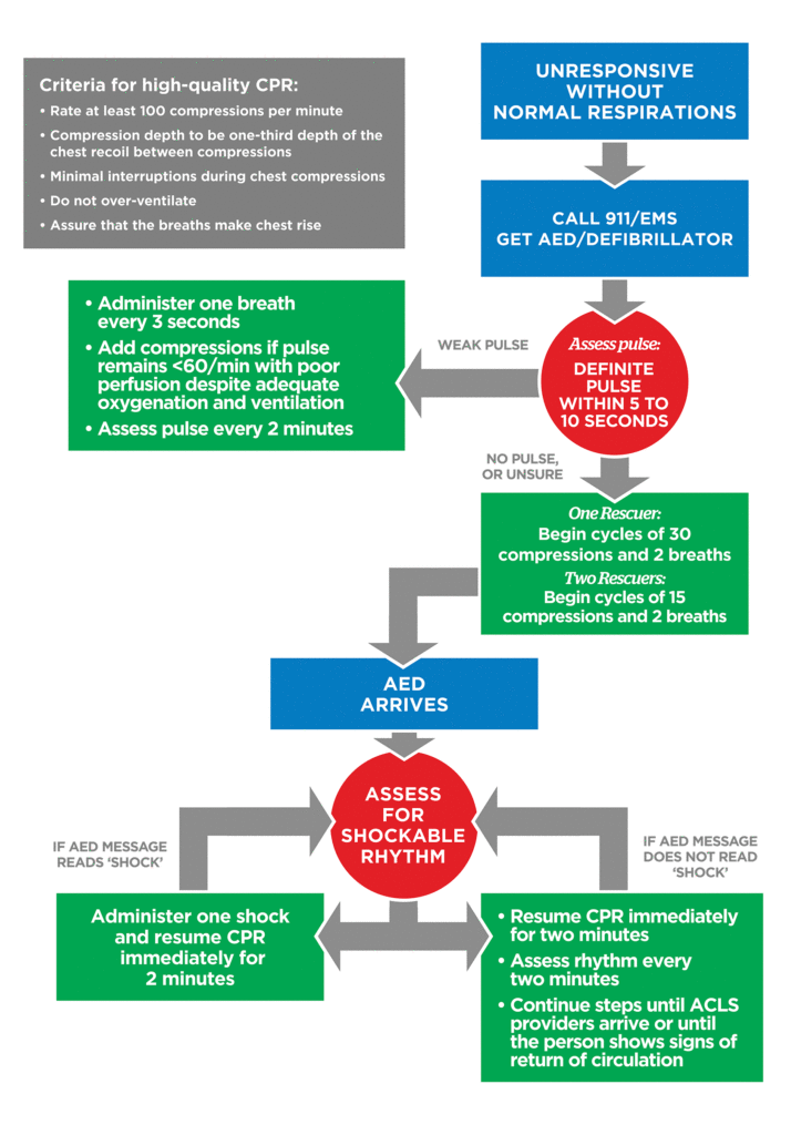 Pediatric bls algorithm diagram