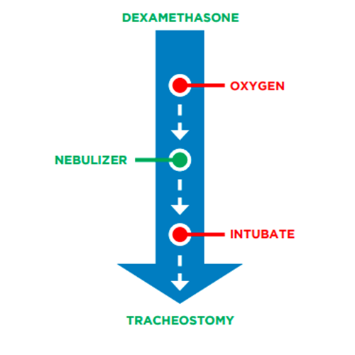 Croup Management