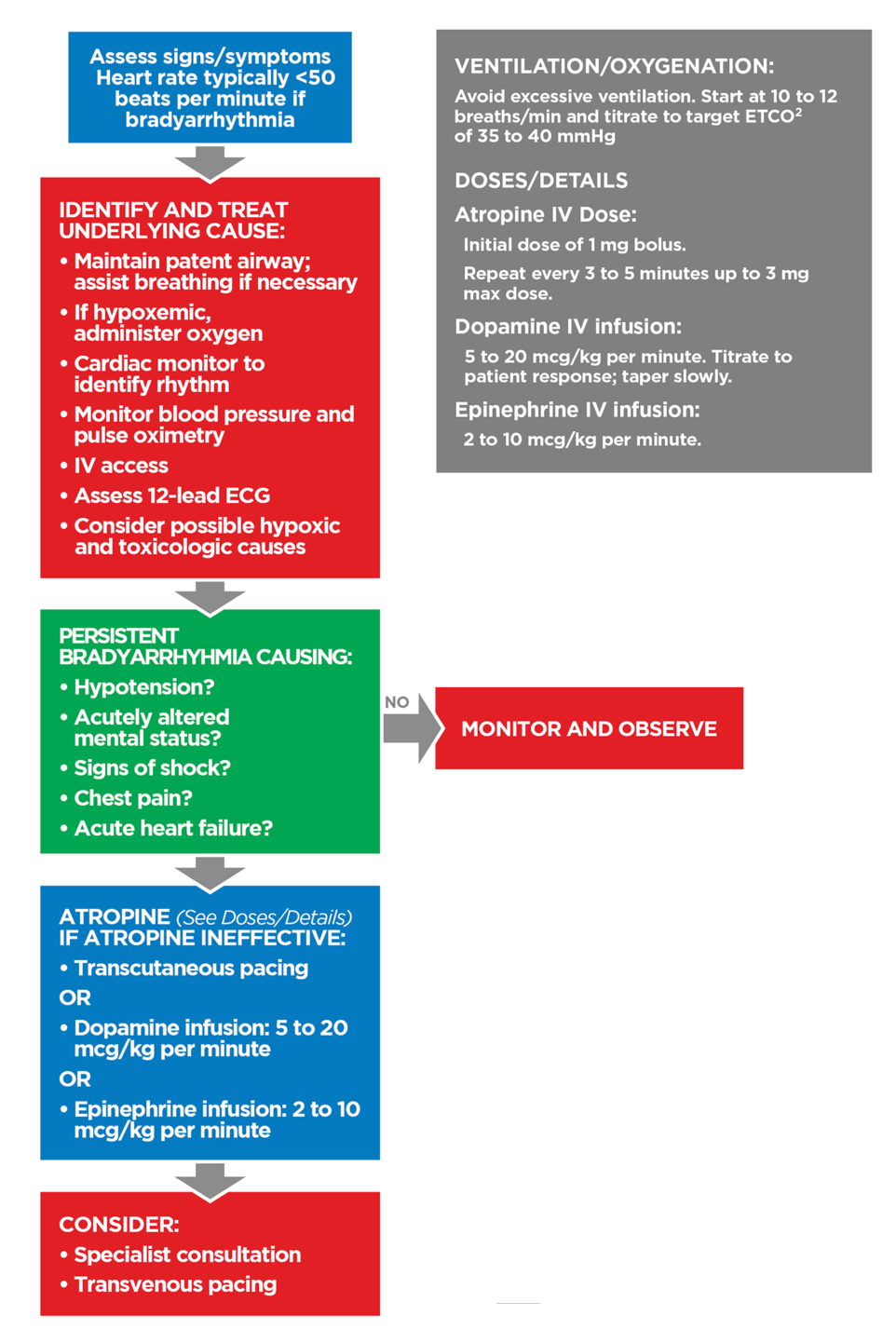 Figure 36 - Adult Bradycardia with Pulse Algorithm