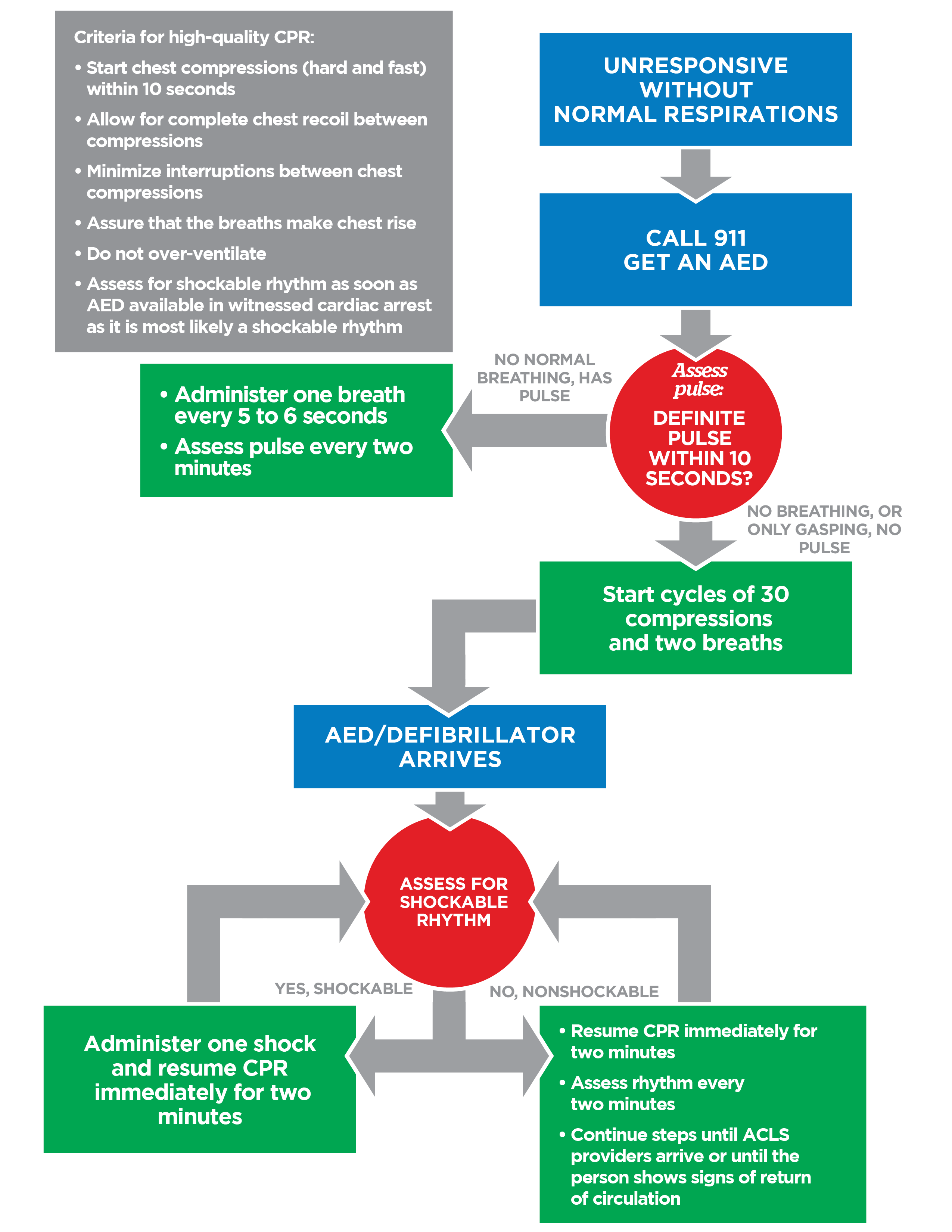 Adult BLS Algorithm Diagram