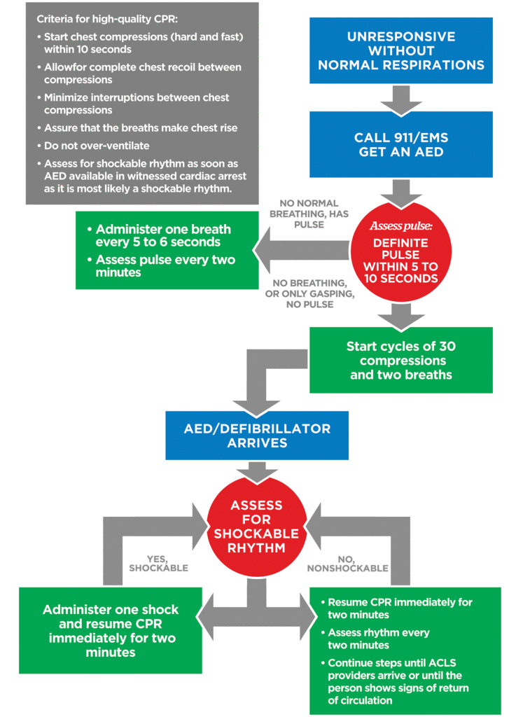 Adult BLS Algorithm