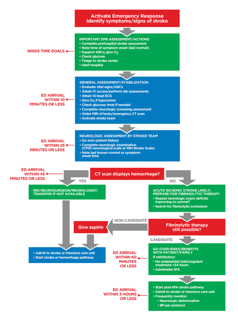 ACLS Acute Stroke Algorithm