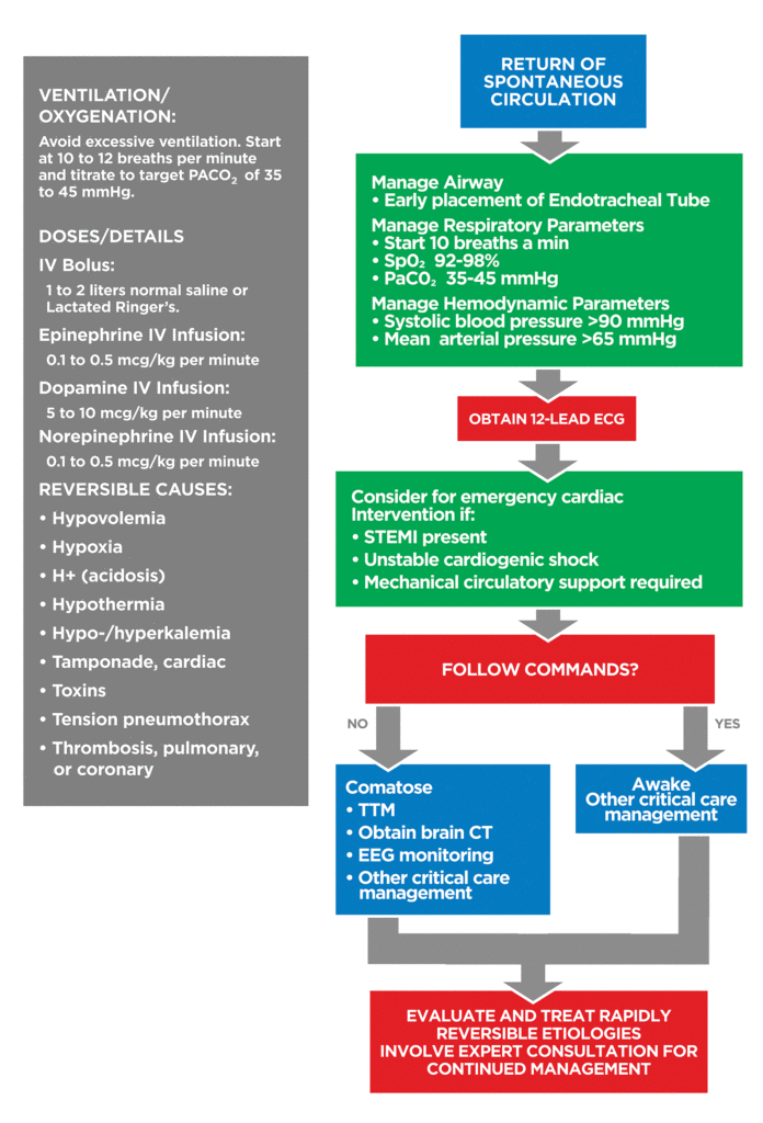 Adult Immediate Post Cardiac Arrest Care Algorithm