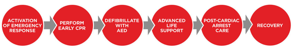 BLS Adult Chain of Survival