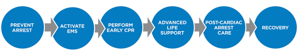 BLS Pediatric Chain of Survival