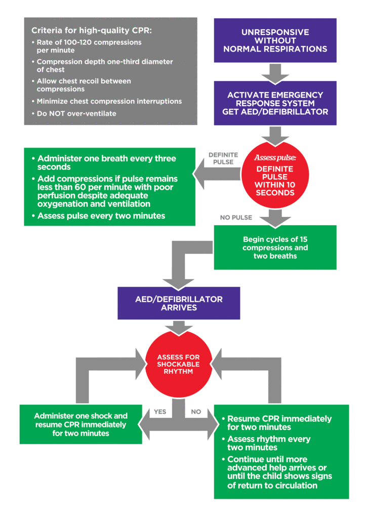 PALS Pediatric BLS Algorithm