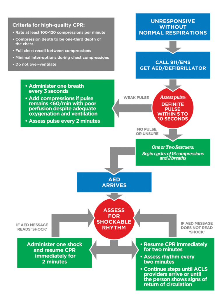 Pediatric BLS Algorithm