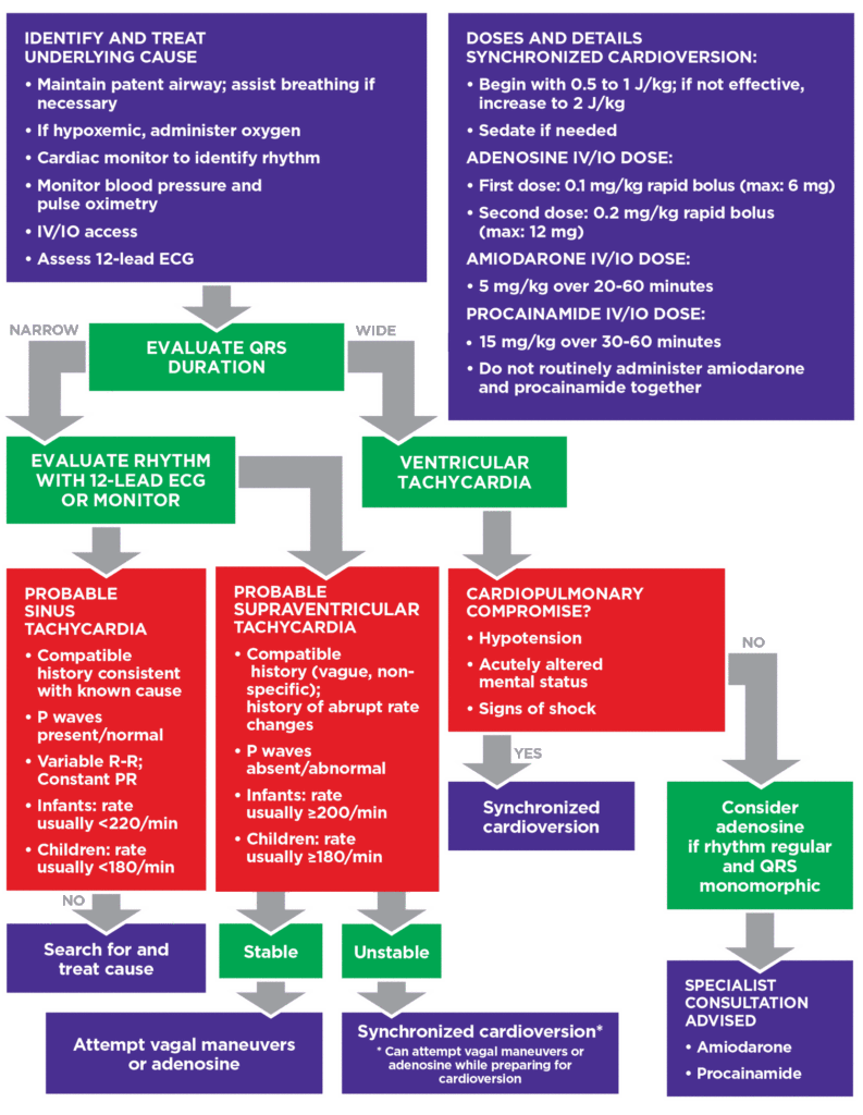 PALS Responding to Tachycardia Algorithm